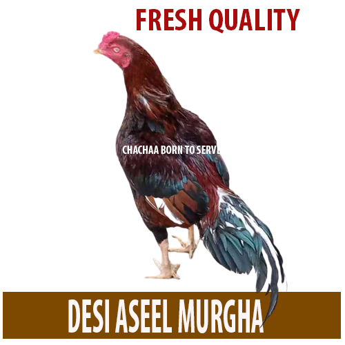 desi chicken in lahore